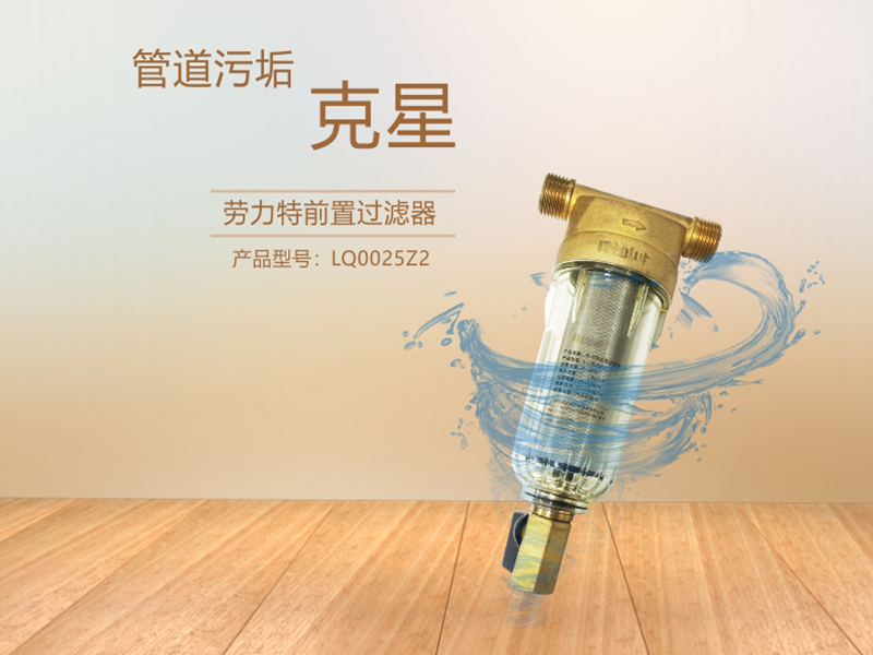 贵州劳力特前置过滤器Z2